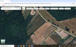 Vanzare teren 10000 mp, stradal DN 7, Moraresti - Poză 2