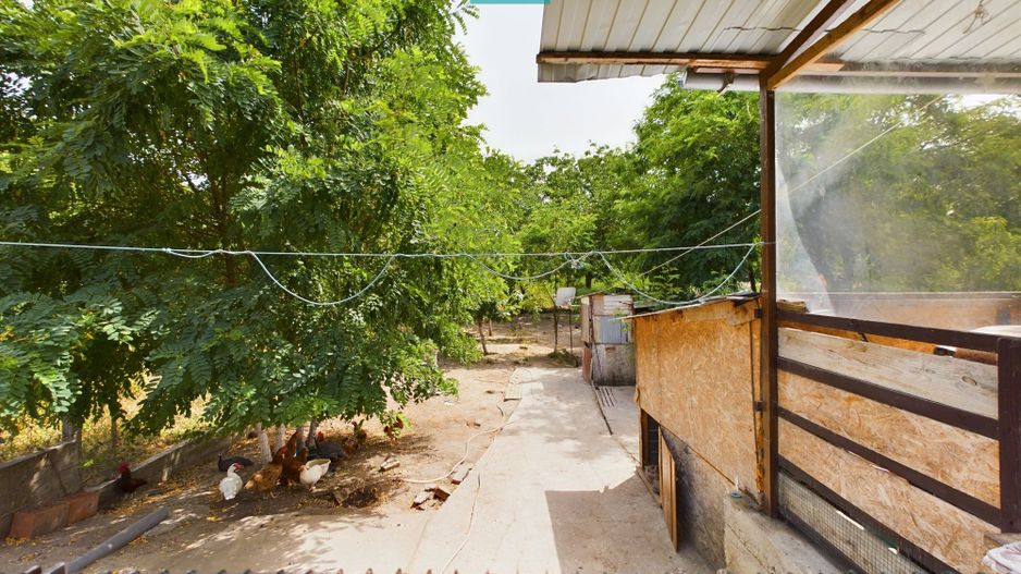 Casă cu 3 camere în Periam Port județ Timiș - Poză 11