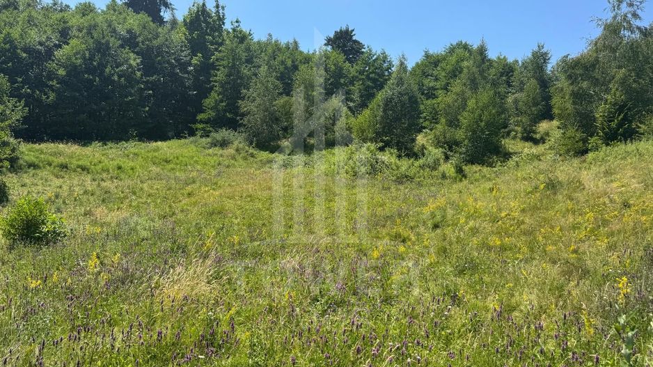 Teren intravilan 4600mp - 55 EUR/mp - EXCLUSIVITATE CISNADIOARA - COMISION 0% - Poză 6