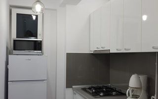 Închiriere 2 Camere Ultracentral, Vedere Dambovita, Renovat - Poză 7