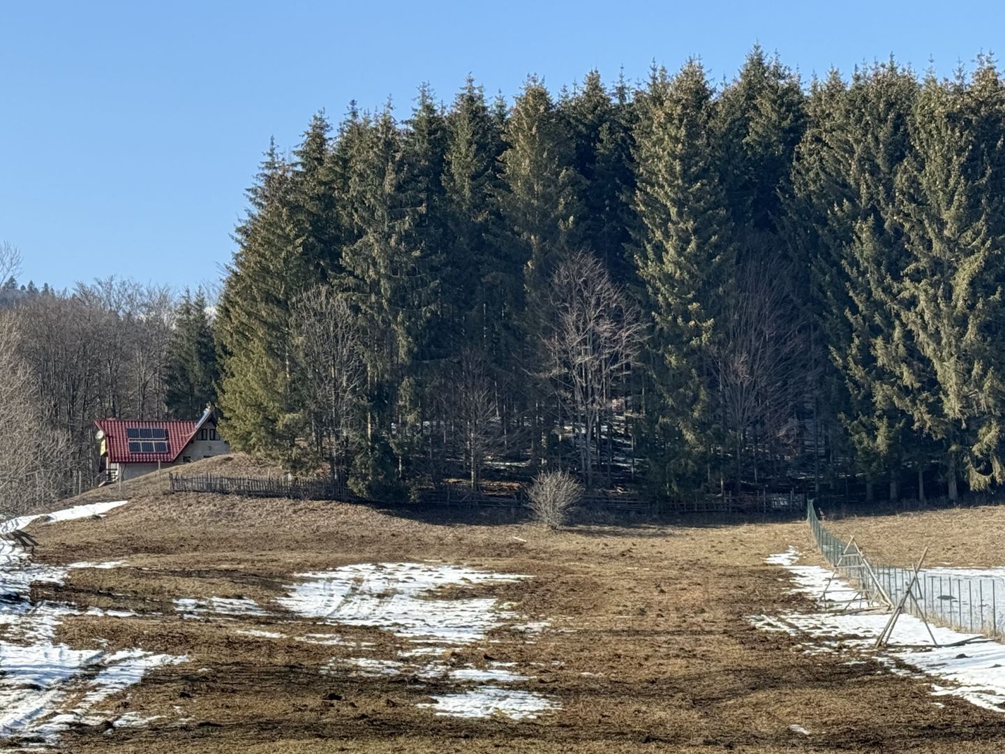 Teren intravilan 4521mp lângă pădure-valea Doftanei -Calea Brasovului - Poză 4