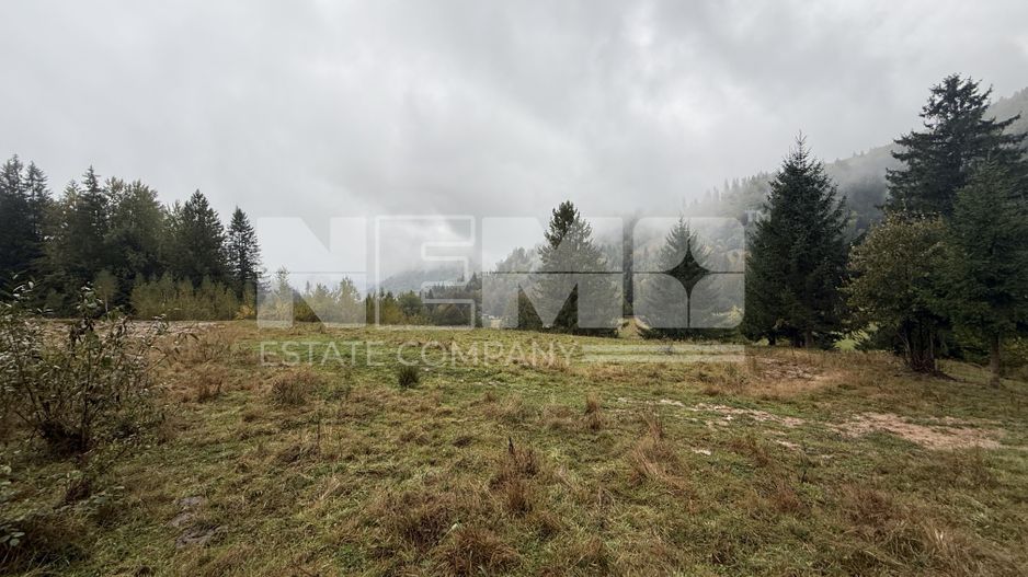 Teren Extravilan | 6.100 mp | Brodina | 41.500 € negociabil - Poză 1