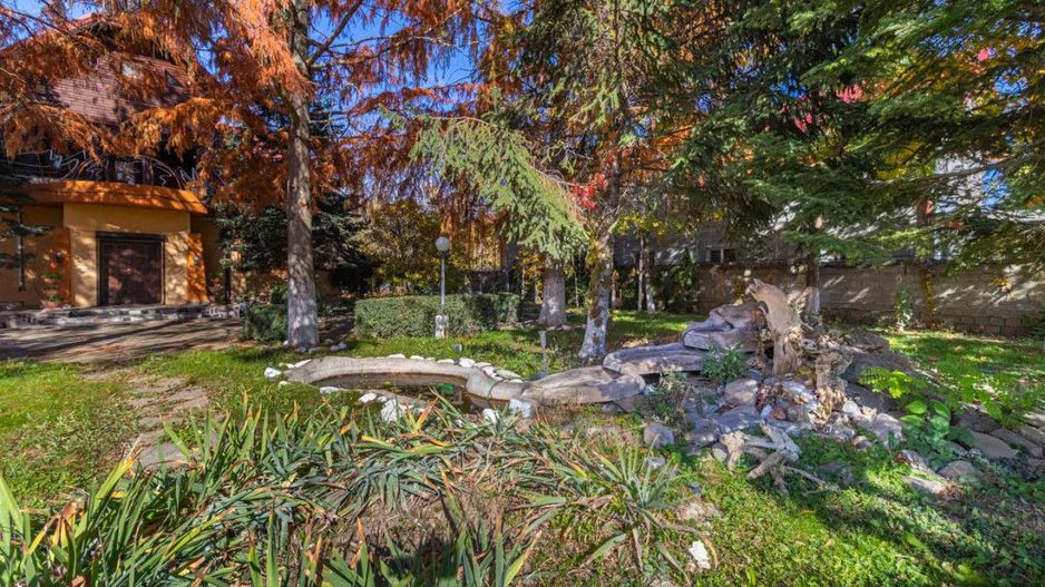 Casa din Natura Balotesti-6300 mp teren-Acces privat la lac si ponton propriu - Poză 8