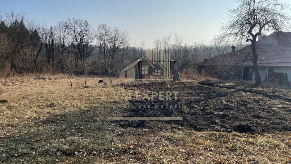 TEREN INTRAVILAN 1800 MP MIHAESTI ARGES COMISION 0 - Poză 7