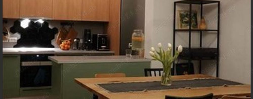 Apart deosebit pe malul Begai - Poză 12