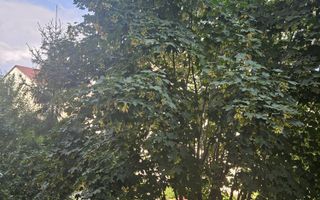 Parcul Trandafirilor, garsoniera in bloc de apartamente, loc parcare - Poză 10