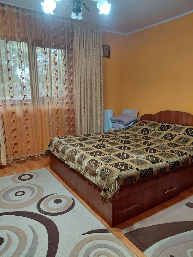 Casă Spațioasă P+1+M, 265 mp Utili, 1000 mp Teren – Toate Utilitățile, Vânători - Poză 30