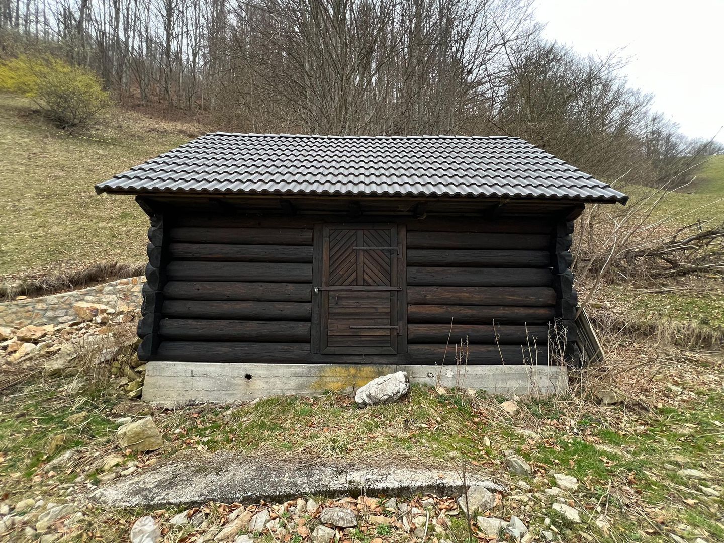 Teren intravilan 1.28ha Remeti–perfect pensiune/cabane, zonă turistica - Poză 1