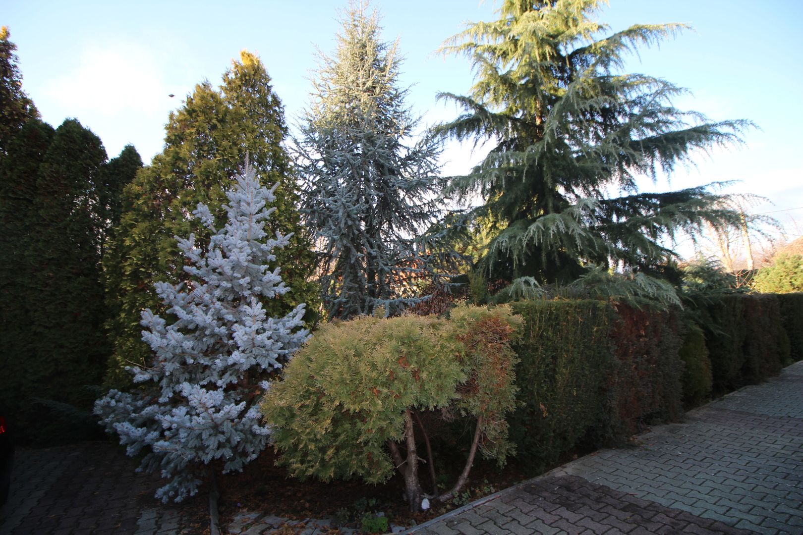 CASA CU MULTIPLE DESTINATII - Poză 13
