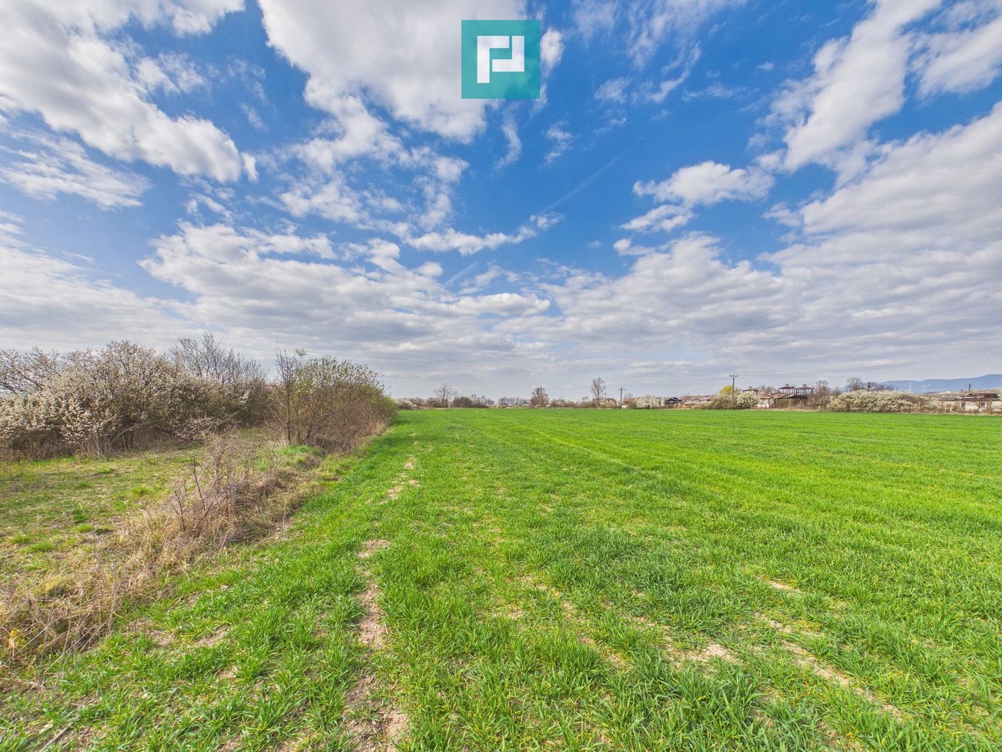 Teren extravilan, 1 ha, în orașul Sebiș, Arad - Poză 6