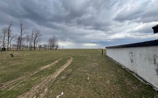 Casa cu 45 de Ari | Salageni | 129.000 Euro - Poză 4