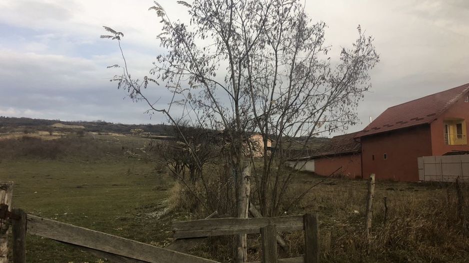 Parcela 7600 m2 Valea Fanatelor - Poză 4