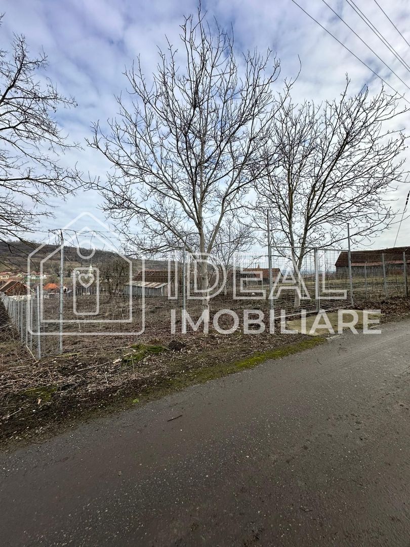 Teren intravilan de vânzare în sat Alămor, comuna Loamneș, județul Sibiu - Poză 9