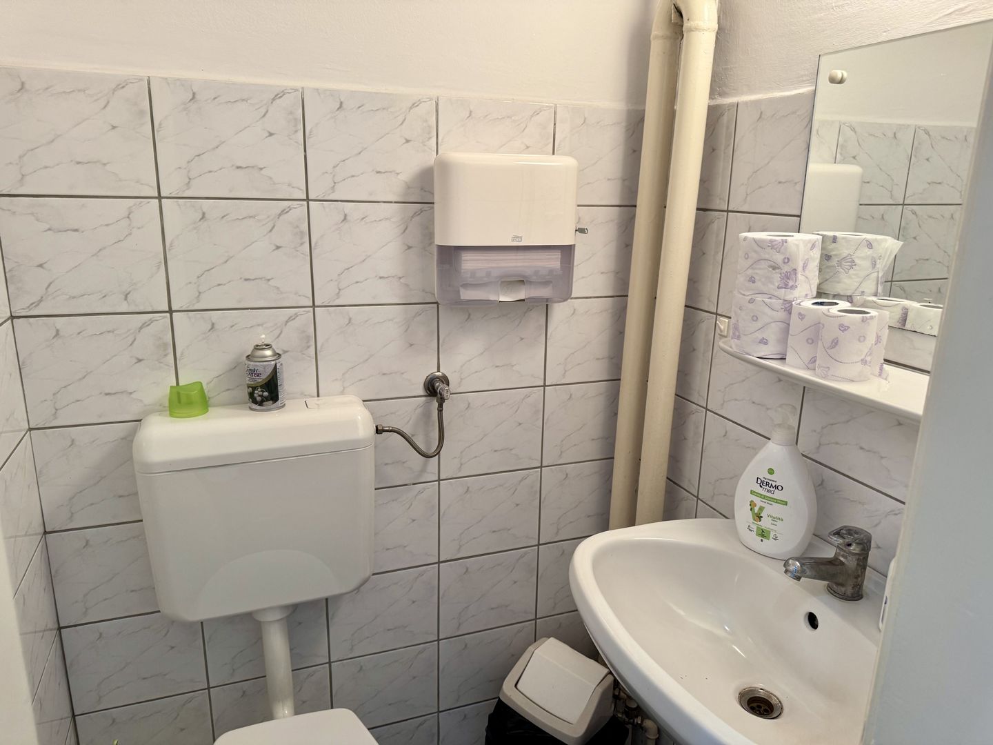 Brâncoveanu  Sp+P+M cu extindere P+1E+M pretabilă afacere - Poză 31