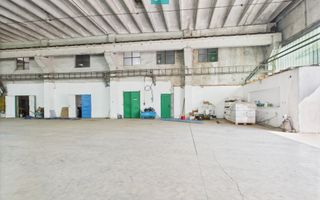 Complex industrial cu hale și teren  în Orțișoara - Poză 1