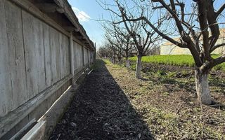 Teren de vânzare cu seră și vie în com. Belcești, jud. Iași - Poză 5