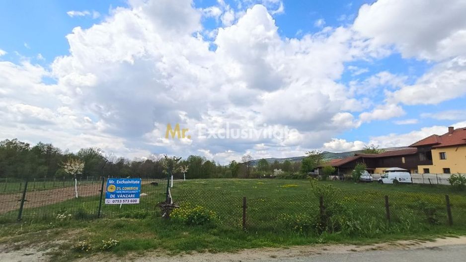 Teren mixt de vânzare Crasna Gorj, aproape de Rânca– 19.209 mp - Poză 4