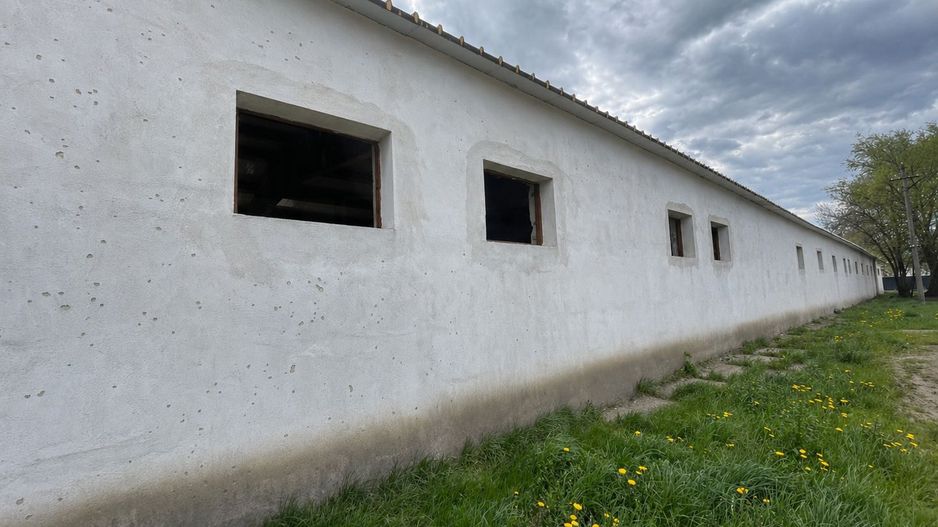 Hala Industrială / Agricolă | 800 MP Construcție + 800 MP Teren | - Poză 9