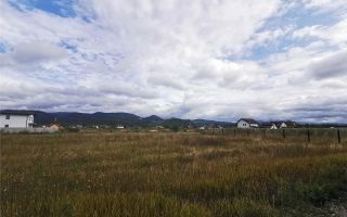 Oportunitate pentru constructie casa, 750 mp, Cristian, Brasov - Poză 4