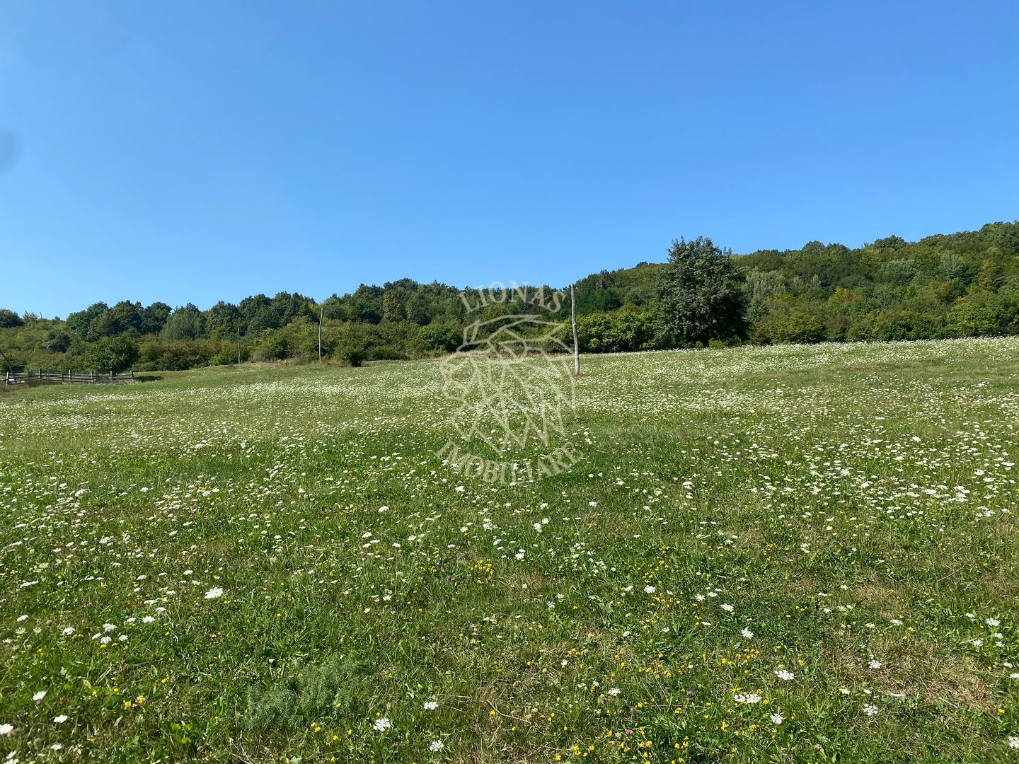 Teren 11.000 mp-ideal cabana/ferma-Unirea-Valea Slatinitei - Poză 6