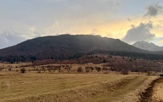 Teren intravilan, 2548 mp, cu priveliște superbă - Zărnești - Poză 7