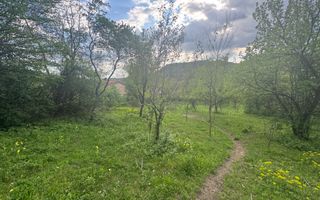 TEREN INTRAVILAN 7018 MP CAMPULUNG - Poză 13