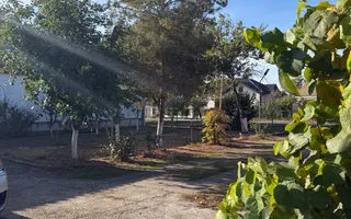 Casa nemteasca 4 camere Uivar - Poză 17
