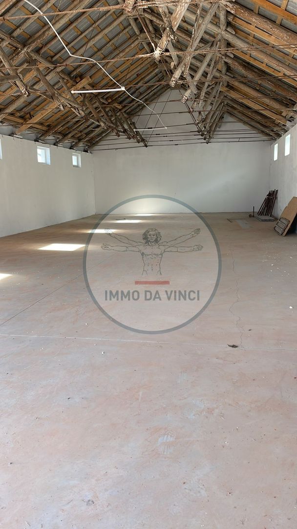 Hală Nouă 270 mp – Str. Depozitelor 56, Satu Mare - Poză 1