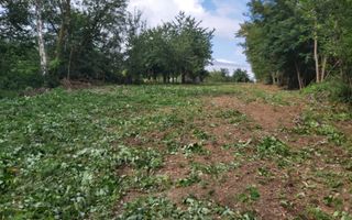 Teren zona montana in com.Turcinesti Jud.Gorj - Poză 2