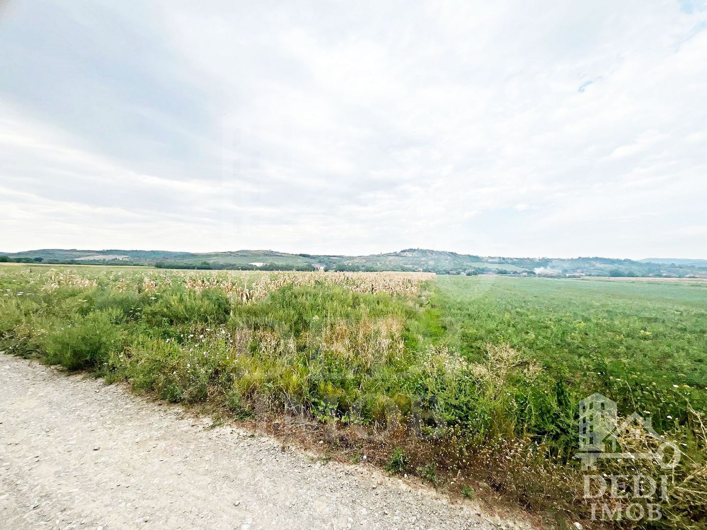 Teren extravilan Lugasu de jos, Bihor - Poză 5