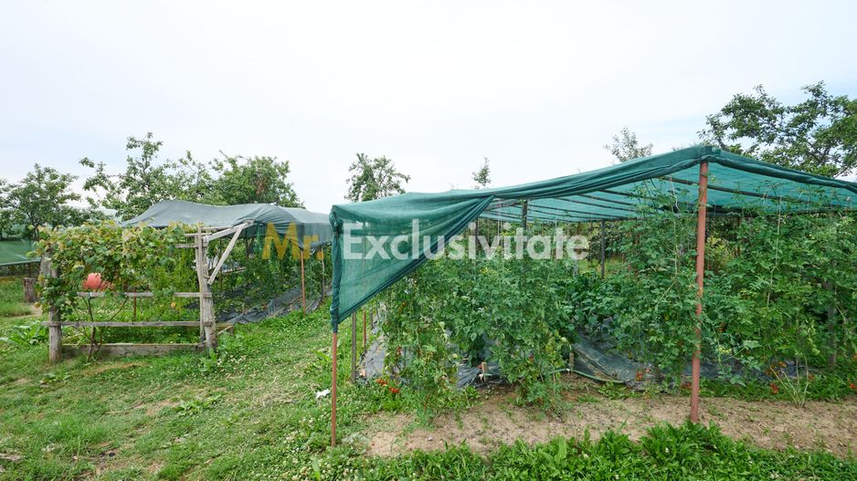 Casă cu teren generos – Vedea-Arges - Poză 33