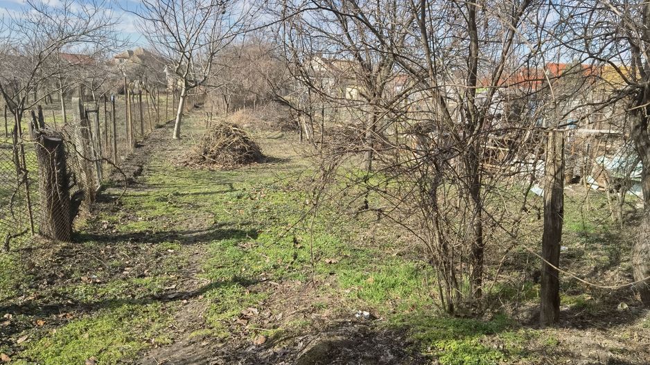 Casa cu teren generos- Recas - Poză 14