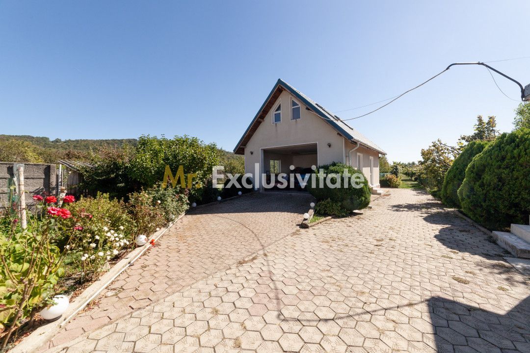 Casa visurilor cu 4000 mp livada roditoare si gradina Darmanesti-Arges - Poză 16