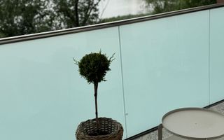 Apartament  premium de închiriat / Zona Iulius Mall - Gheorgheni/ Cluj - Poză 28