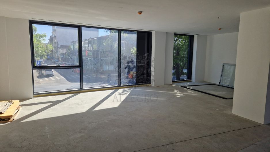 Calea Dorobantilor| Cladire Office Boutique | 1000 mp | Parcare - Poză 7