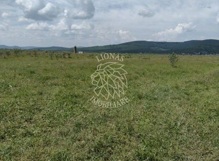 Teren 23700 mp (2,37 ha)-ideal investitie,cabana-Sesul Jelnei - Poză 4