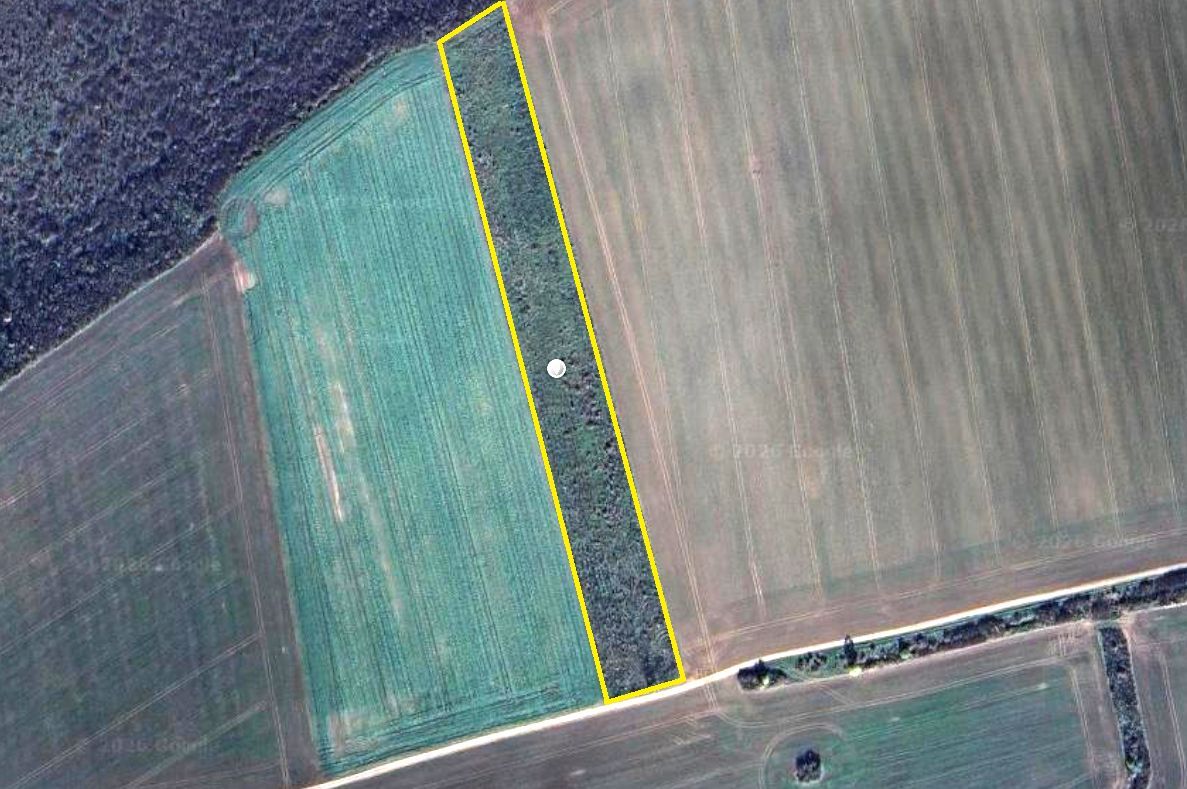 Teren Agricol Extravilan 2 HA, Ianova - Poză 1