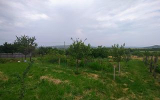 Casa + garaj + 5400 mp teren in Tomesti Goruni, zona de vis, nu rata - Poză 15