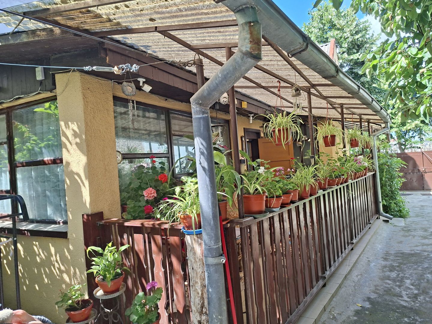 BRASADAS vinde casa individuala 4 cam 4.1 ari Semicentral. - Poză 3