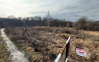 De vânzare două parcele de 3752 mp împreună- zona Făget - Poză 2