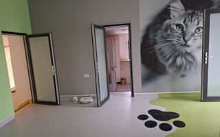 Casa de vanzare Sararie - Copou - Poză 5