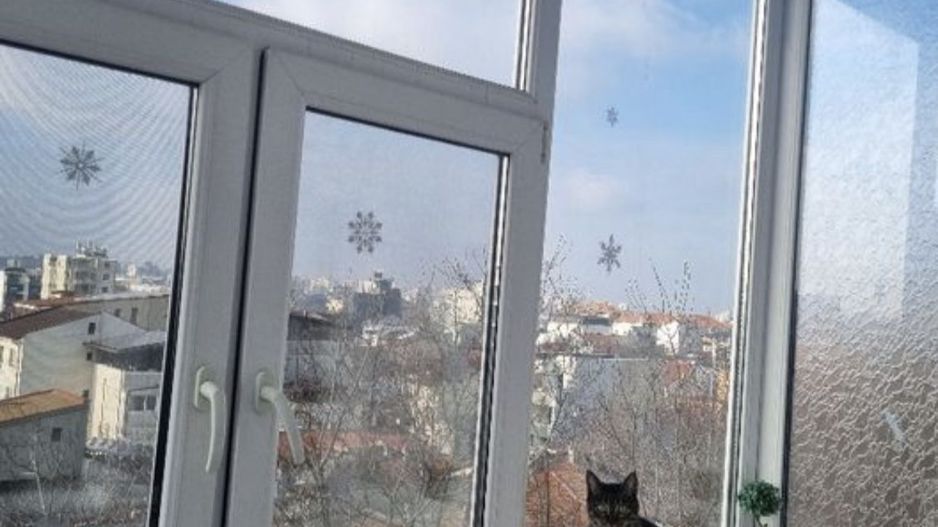 Apartament 3 camere - Poză 6