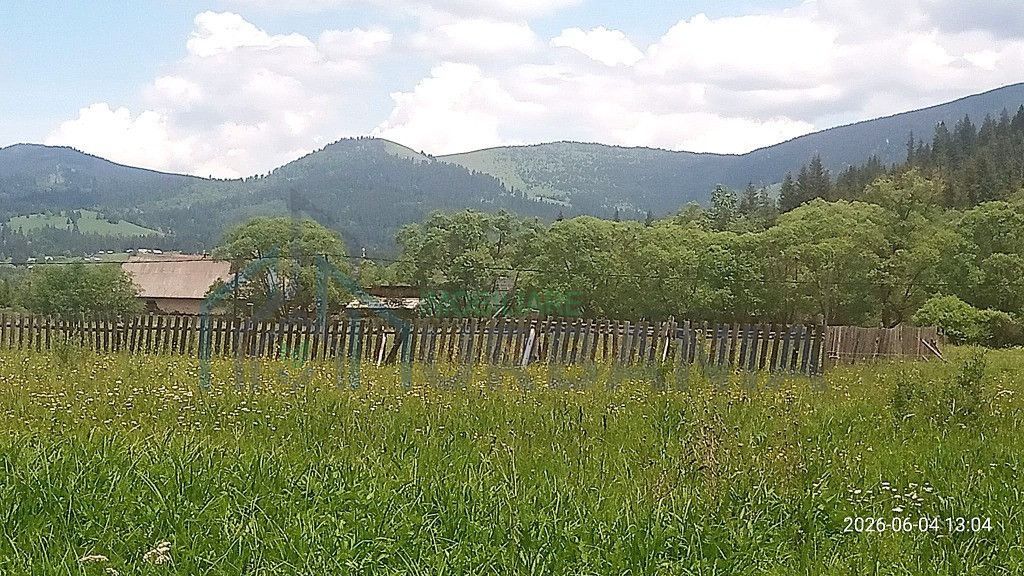 Teren de 5 ari între Poiana Stampei și Dorna Candreni, pe malul râului Dorna – 6.500 euro - Poză 2