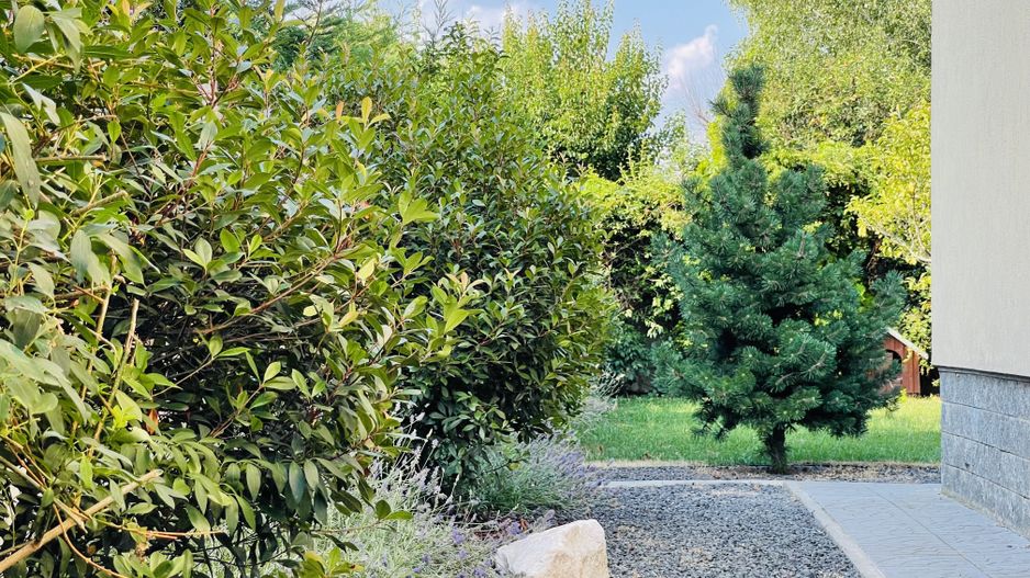 Casa individuala cu 4 dormitoare, 184 mp | Garaj & Gradina | Fropin - Poză 44