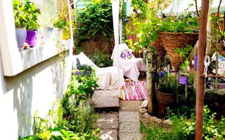 Casa la curte 3 camere, teren total 250 mp, zona Mihai Bravu - Poză 16