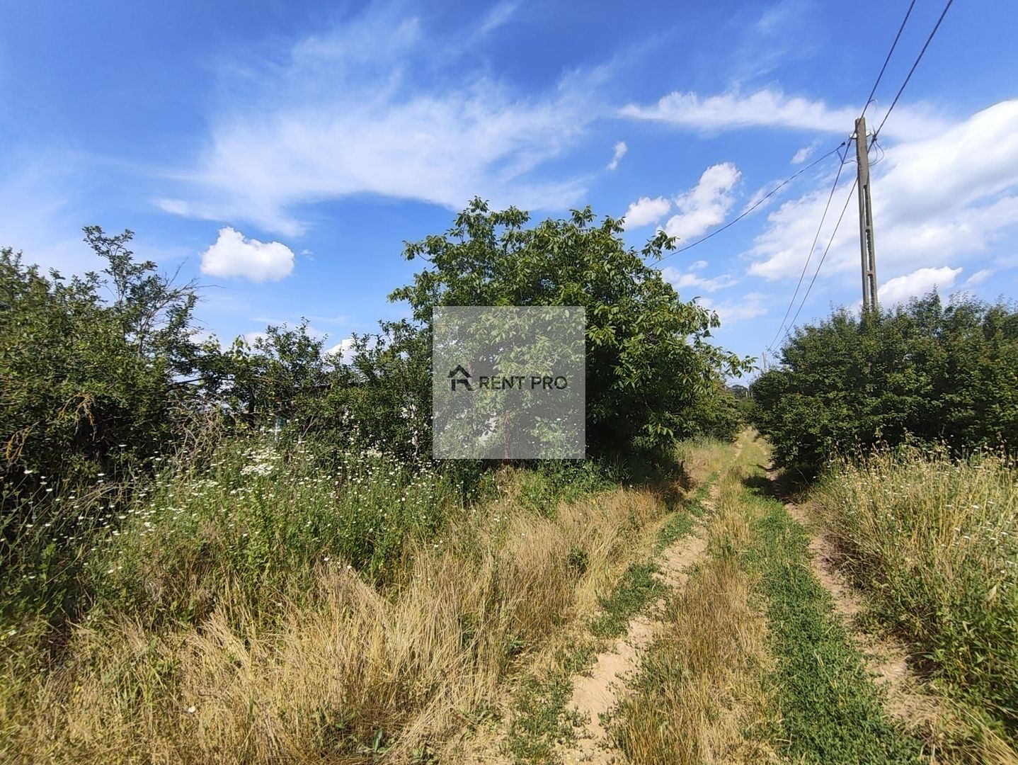 Teren de 11.000 mp cu casă și teren agricol | La 40 km de București | - Poză 3