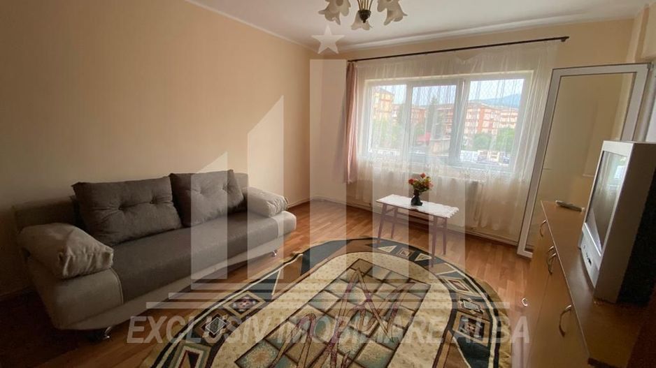 Apartament cu o camera in Cetate - Poză 2