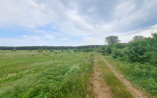 Loturi de teren intravilan 300 mp - Andronache - Poză 3