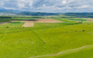 Teren de investiție în zona Tohanul Nou - Bran  5.800 mp - Poză 5