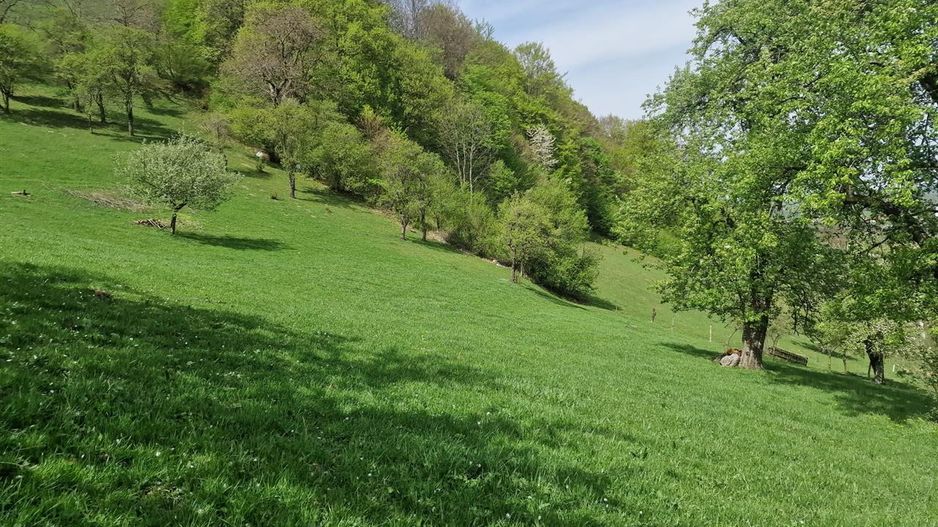 Langa emblematicul Castelul Bran, in areal colinar, 5.700mp intravilan - Poză 10